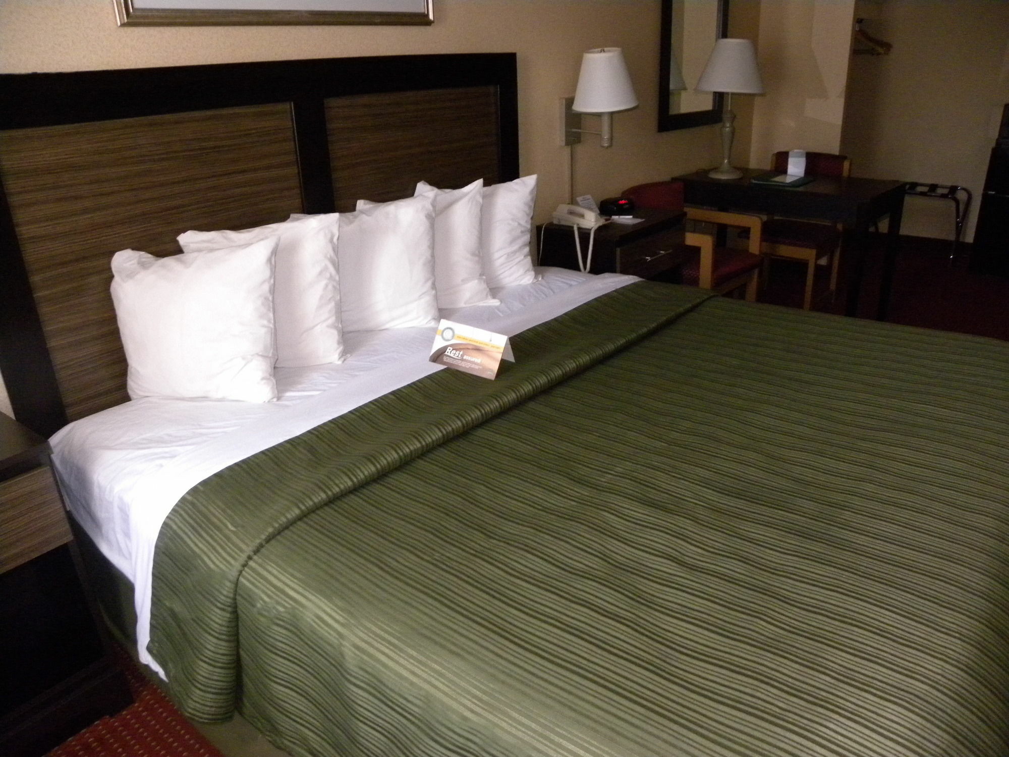 Quality Inn Mount Vernon Alexandria Zewnętrze zdjęcie
